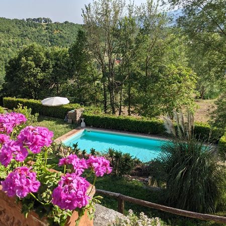 Agriturismo Casentino - Fattoria Ventrina Martina Dış mekan fotoğraf