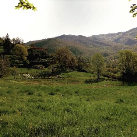 Agriturismo Casentino - Fattoria Ventrina Martina Dış mekan fotoğraf
