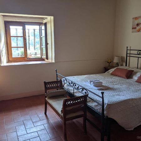 Agriturismo Casentino - Fattoria Ventrina Martina Dış mekan fotoğraf