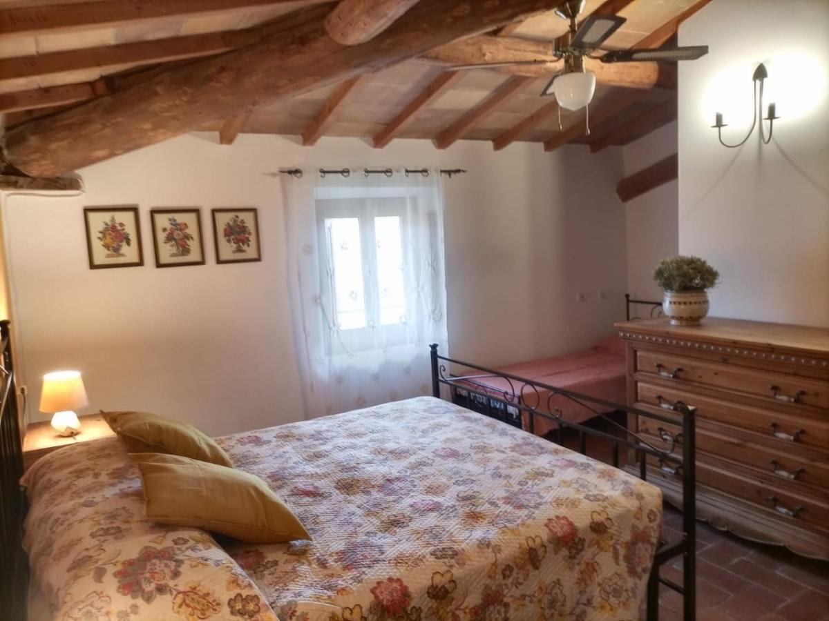 Agriturismo Casentino - Fattoria Ventrina Martina Dış mekan fotoğraf