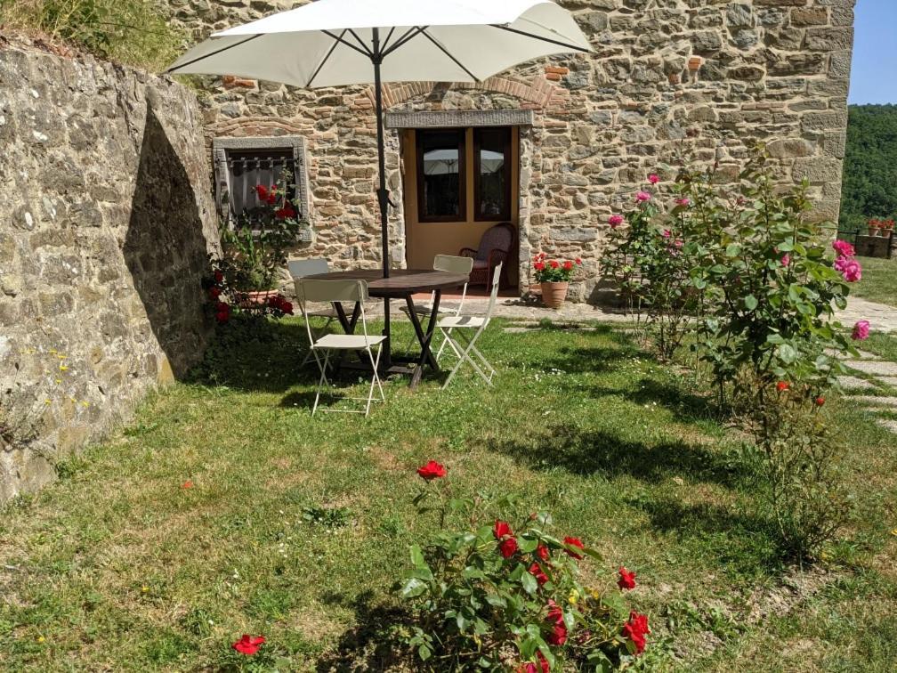 Agriturismo Casentino - Fattoria Ventrina Martina Dış mekan fotoğraf