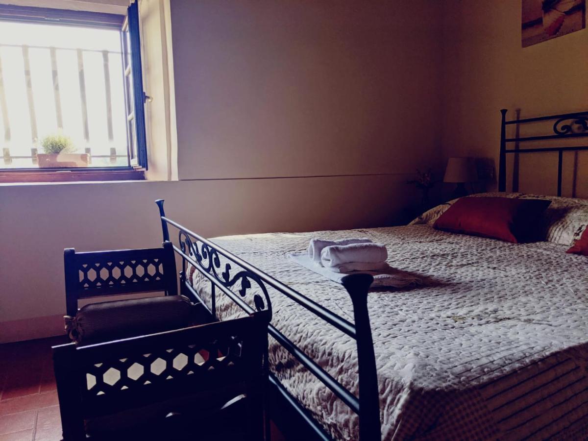 Agriturismo Casentino - Fattoria Ventrina Martina Dış mekan fotoğraf