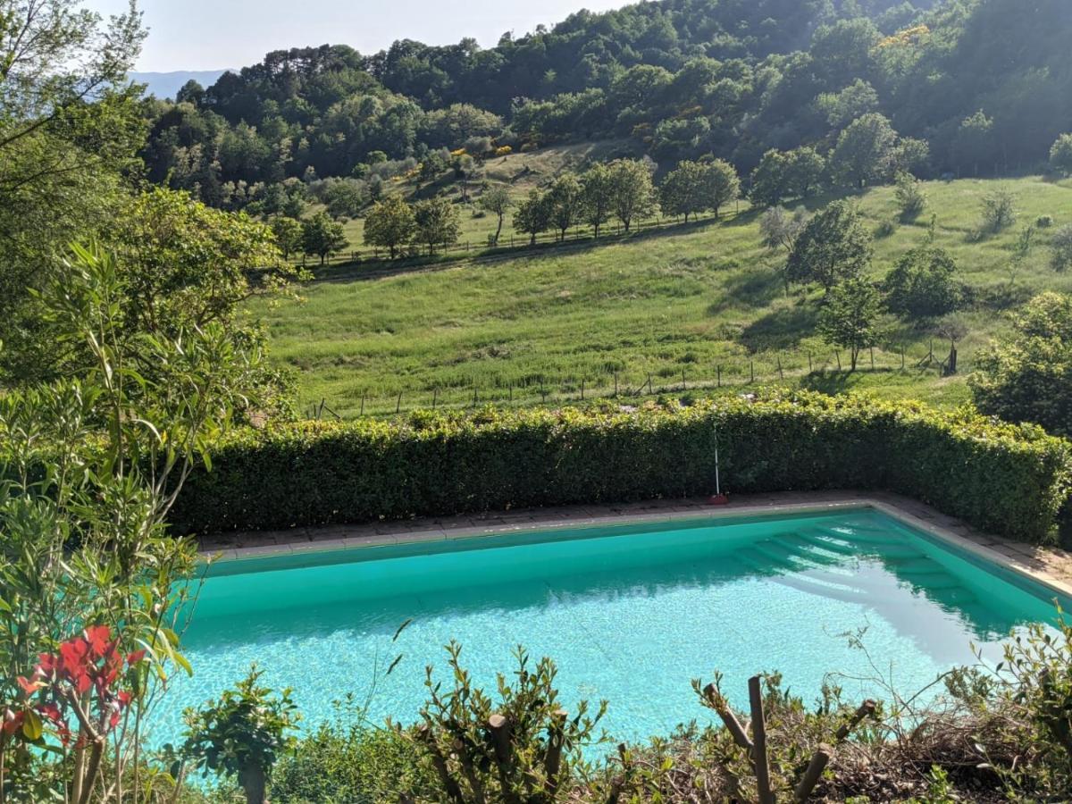 Agriturismo Casentino - Fattoria Ventrina Martina Dış mekan fotoğraf