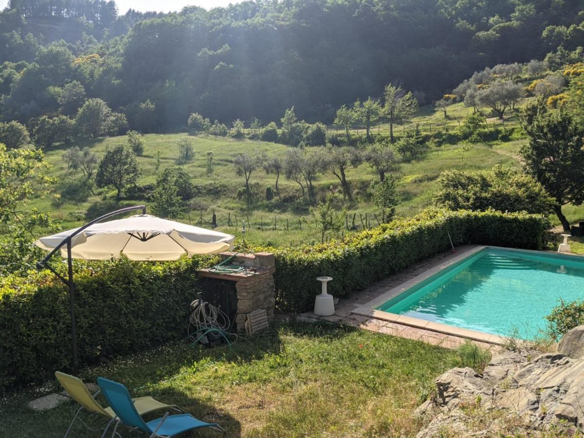 Agriturismo Casentino - Fattoria Ventrina Martina Dış mekan fotoğraf