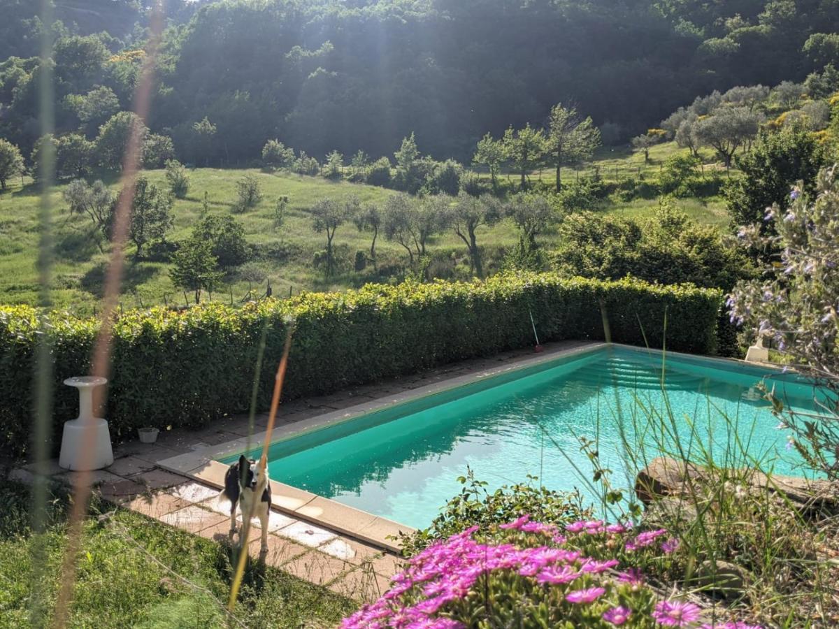 Agriturismo Casentino - Fattoria Ventrina Martina Dış mekan fotoğraf