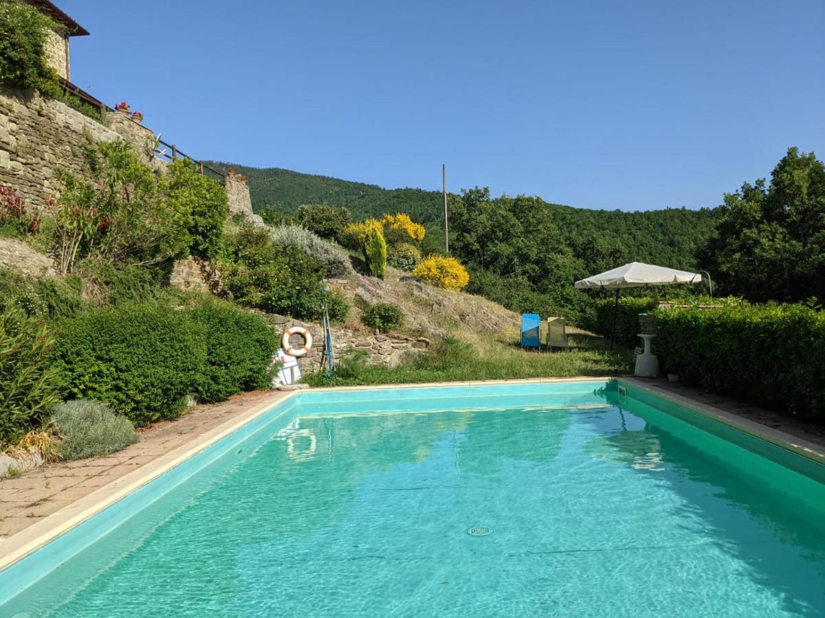 Agriturismo Casentino - Fattoria Ventrina Martina Dış mekan fotoğraf