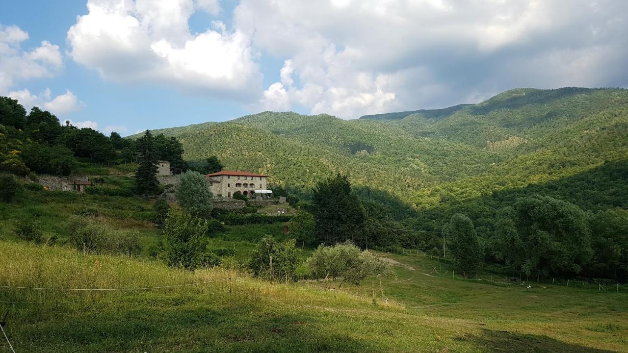 Agriturismo Casentino - Fattoria Ventrina Martina Dış mekan fotoğraf