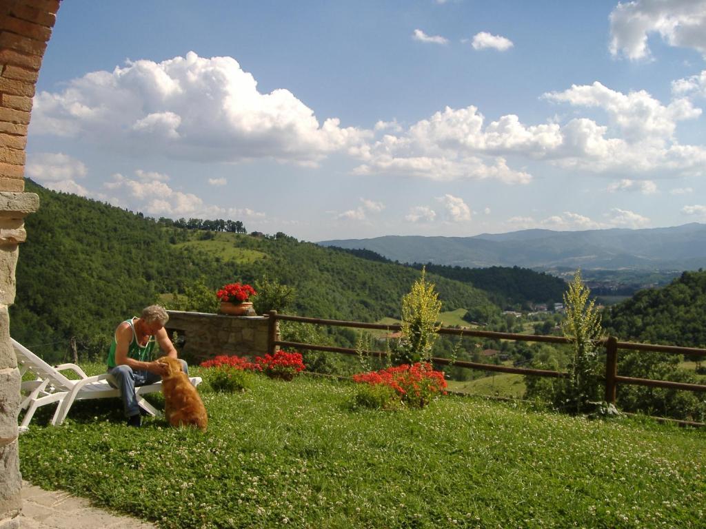 Agriturismo Casentino - Fattoria Ventrina Martina Dış mekan fotoğraf